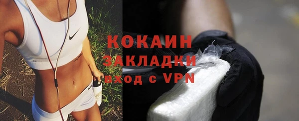 дурь Бронницы
