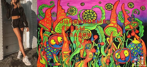 марки lsd Богородск