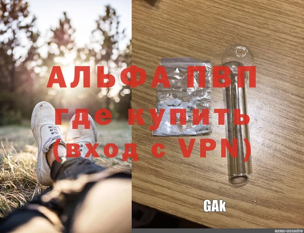 СК Бородино